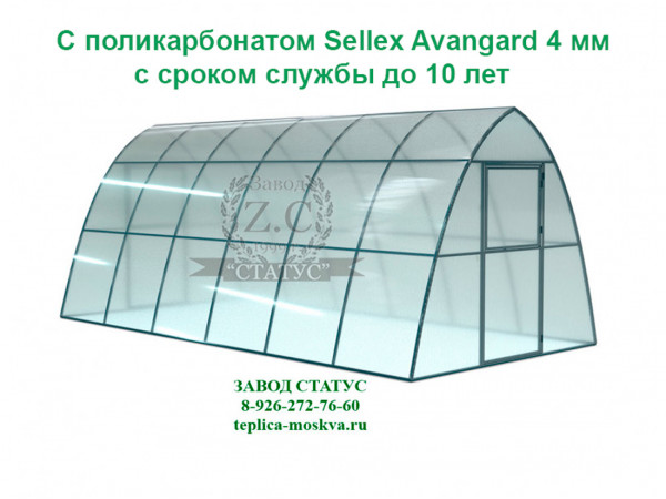 Теплица каплевидная 3 на 6 с поликарбонатом Sellex Avangard 4 мм. из профиля 25 на 25, шаг 1м. 