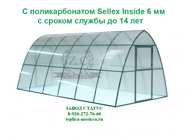 Теплица каплевидная 2,5 на 6 с поликарбонатом Sellex Inside 6 мм. из профиля 25 на 25, шаг 1м. 
