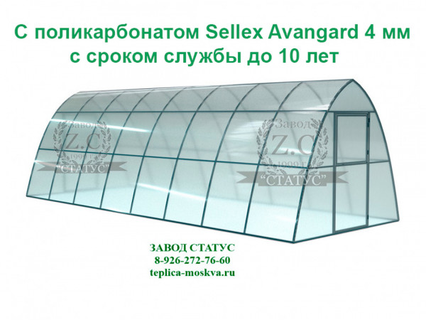 Теплица каплевидная 3 на 8 с поликарбонатом Sellex Avangard 4 мм. из профиля 25 на 25, шаг 1м. 