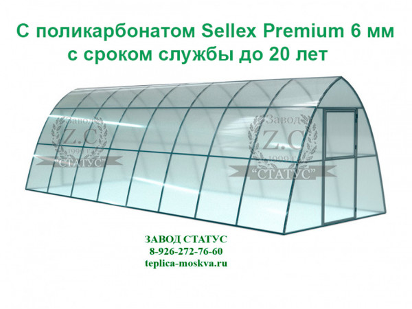Теплица каплевидная 3 на 8 с поликарбонатом Sellex Premium 6 мм. из профиля 25 на 25, шаг 1м. 