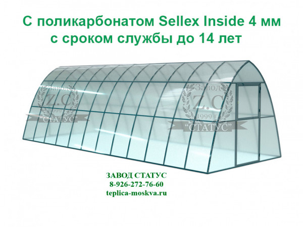 Теплица каплевидная 3 на 8 с поликарбонатом Sellex Inside 4 мм. из профиля 25 на 25, шаг 65 см. 