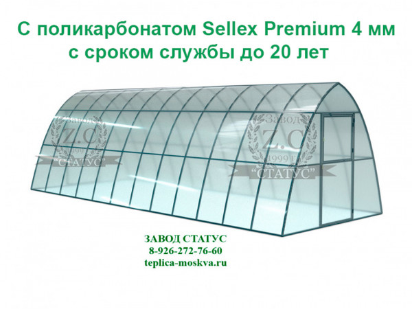 Теплица каплевидная 3 на 8 с поликарбонатом Sellex Premium  4 мм. из профиля 25 на 25, шаг 65 см