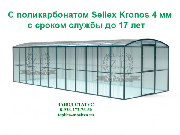 Прямостенная 3 на 8 шаг 65 см из поликарбоната Sellex Kronos 4 мм